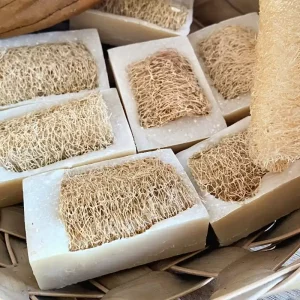 Jabón de Miel y Esponja de Luffa